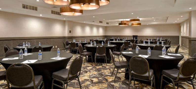 密苏里圣路易斯机场希尔顿逸林酒店(DoubleTree by Hilton St. Louis Airport)图片