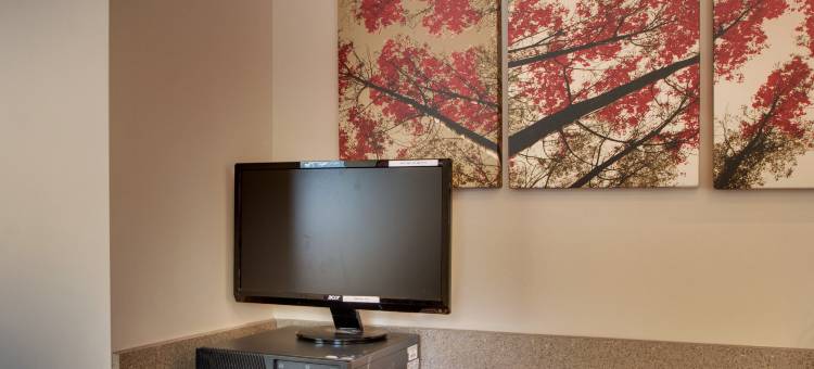 红屋顶酒店圣路易斯 - 西港/马里兰高地(Red Roof Inn St Louis - Westport/ Maryland Heights)图片