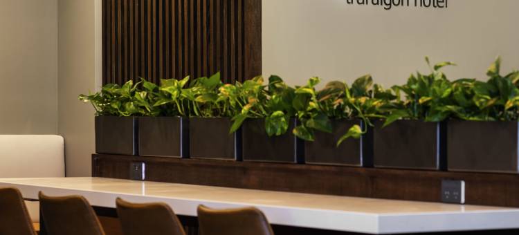 曼特拉特拉拉尔根酒店(Mantra Traralgon)图片