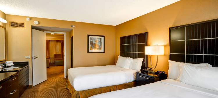 芝加哥市市区北岸希尔顿安泊酒店(Embassy Suites by Hilton Chicago Downtown River North)图片