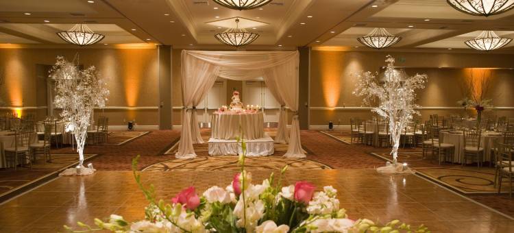 阿纳海姆会议中心逸林套房酒店(DoubleTree Suites by Hilton Anaheim Resort/Convention Center)图片