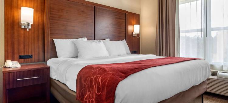 维克斯堡舒适套房酒店(Comfort Suites)图片