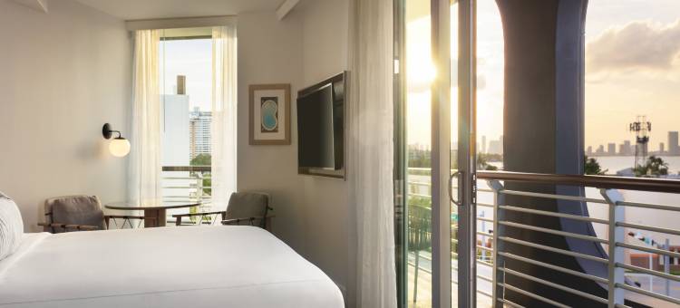 帕洛玛南海滩金普顿酒店(Kimpton Hotel Palomar South Beach)图片