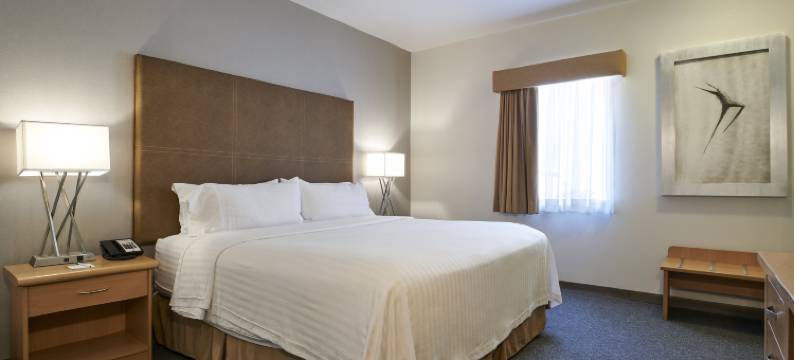 Holiday Inn & Suites 奇瓦瓦(Holiday Inn & Suites CHIHUAHUA EXPO by IHG)图片