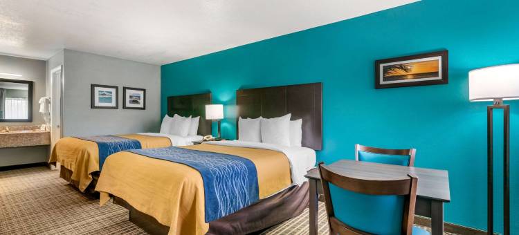 太阳城中心坦帕南舒适酒店(Comfort Inn Sun City Center - Ruskin - Tampa South)图片