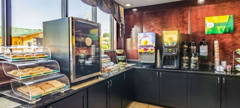 阿宾登岛凯艺套房酒店(Quality Inn & Suites)图片