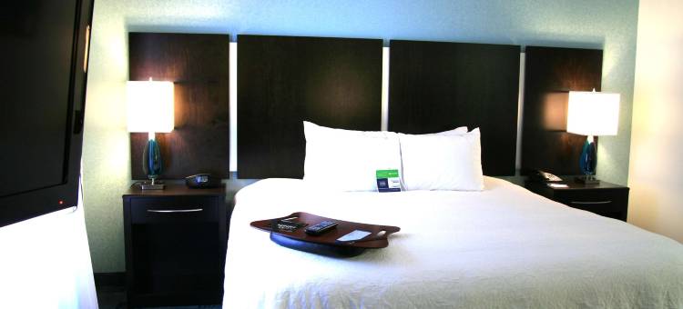 达拉斯路易斯维尔维斯塔里奇购物中心欢朋套房酒店(Hampton Inn & Suites Dallas-Lewisville/Vista Ridge Mall)图片
