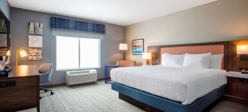 欢朋旅馆&套房北港口(Hampton Inn & Suites by Hilton North Port)图片