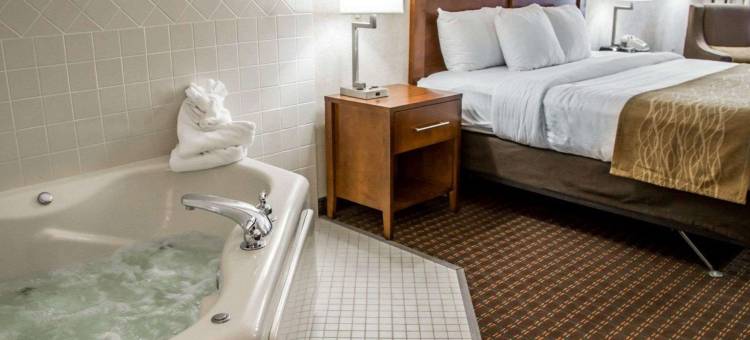 河景舒适套房酒店(Comfort Inn & Suites Riverview Near Davenport and I-80)图片