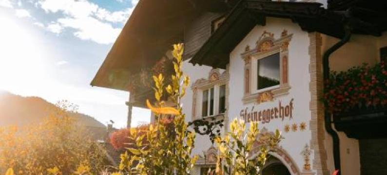 Bio & BikeHotel Steineggerhof图片