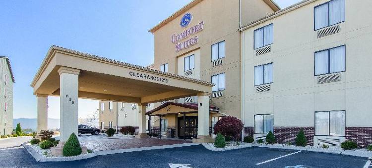 舒适套房酒店(Comfort Suites)图片