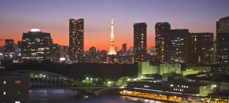 东京筑地维斯塔酒店(HOTEL VISTA TOKYO Tsukiji)图片