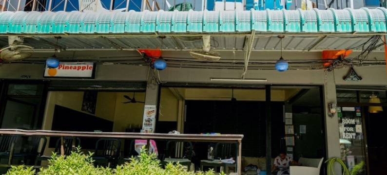 菠萝旅馆(Pineapple Guesthouse)图片