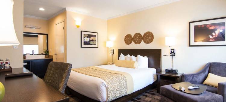 帕罗奥图禅酒店(The Zen Hotel Palo Alto)图片