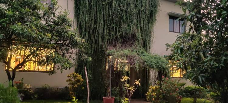 吉尔赏鸟小屋(Gir Birding Lodge)图片