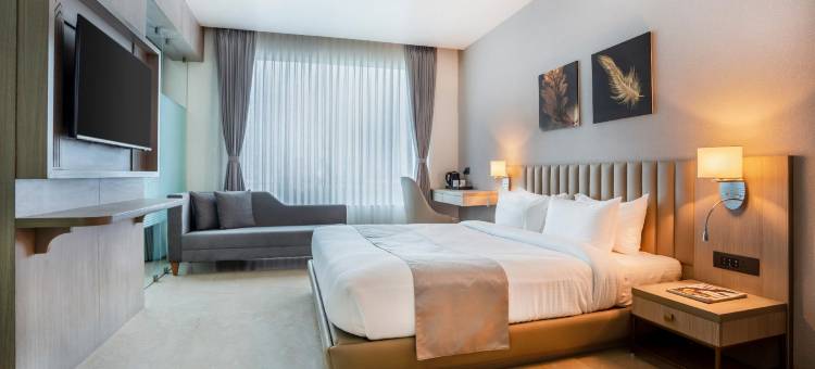 豪华酒店(Hotel Luxy)图片