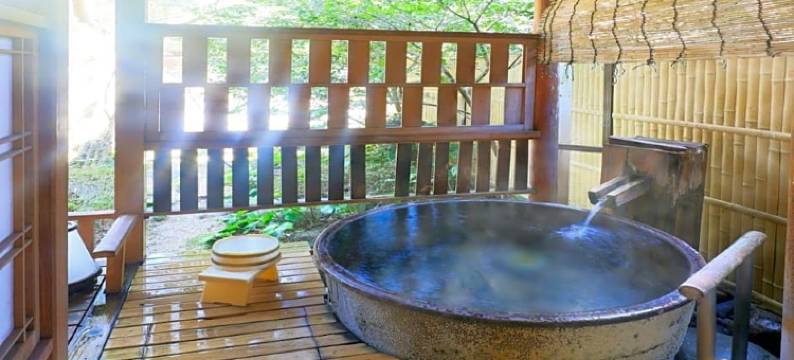 鬼怒川温泉花之宿松屋日式旅馆(Kinugawa Onsen Hana No Yado Matsuya)图片