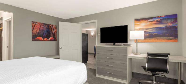 贝斯特韦斯特优质木兰套房酒店(Best Western Plus Magnolia Inn  Suites)图片