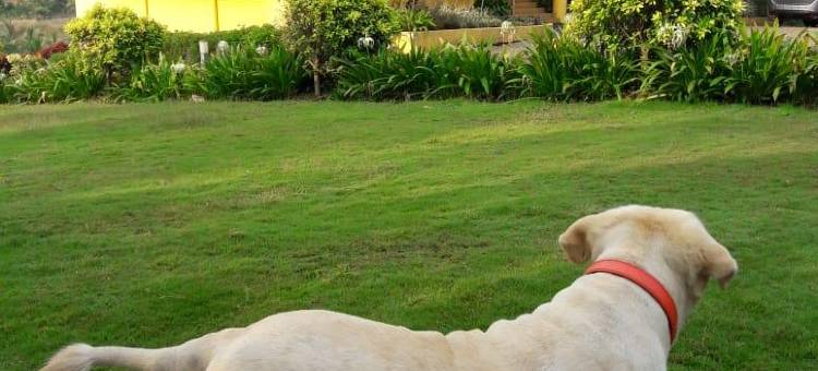 瓦隆葡萄园酒店(Vallonne Vineyards)图片