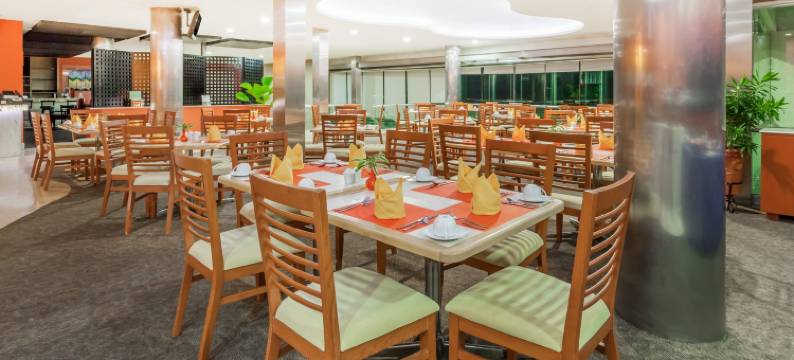 科利花园酒店(Gamma Colima Garden)图片