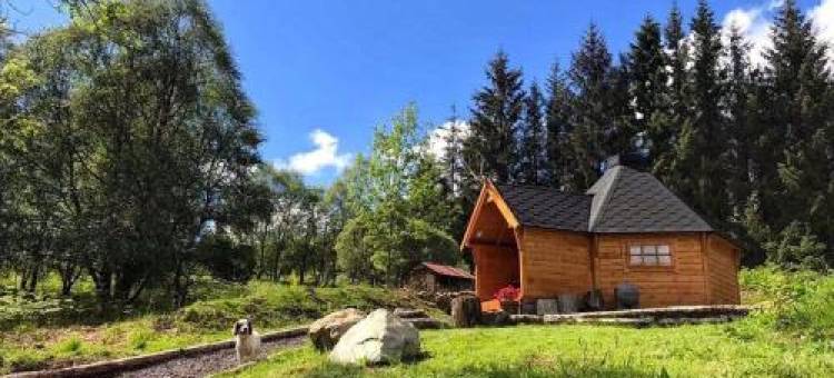 The Nest Glamping Pod图片