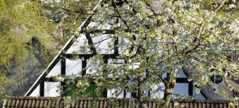 舒马克旅馆 - 伽尼酒店(Gasthof Schumacher Hotel Garni)图片