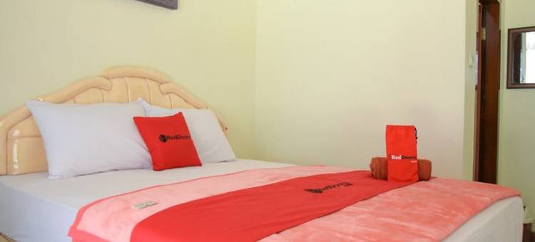 红多兹酒店-庞越邦里玛苏迪曼(RedDoorz @ Panglima Sudirman Probolinggo)图片