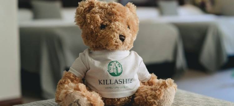 吉拉塞酒店(Killashee Hotel)图片