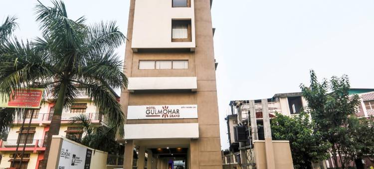 高莫哈大酒店(Hotel Gulmohar Grand)图片