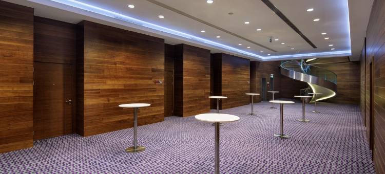 卡亚什尔希尔顿欢朋酒店(Hampton by Hilton Istanbul Kayasehir)图片