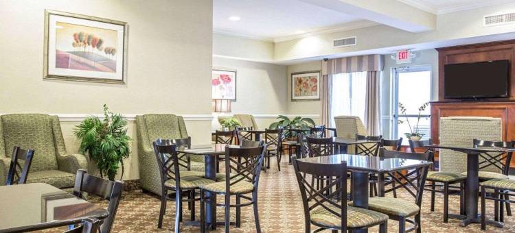 舒适套房酒店(Comfort Inn & Suites)图片