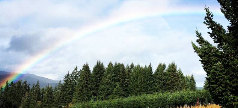 蓝鸟山农场住宿加早餐旅馆(Bluebird Hill Farm B&B)图片