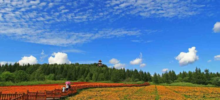 汤旺河白桦林旅馆图片