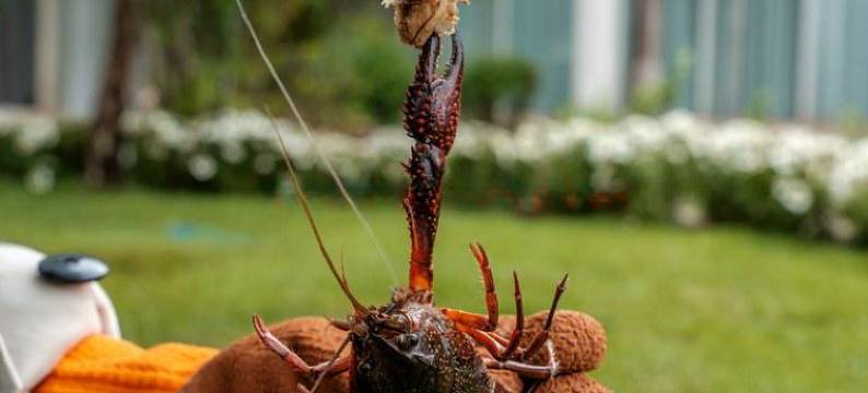 一绪大理度假别墅(滨海大道1号分店)图片