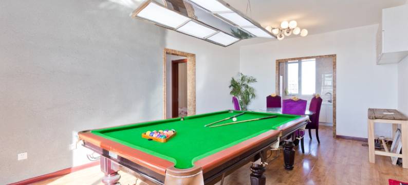 龙玖轰趴小墅公寓(纬五路分店)图片