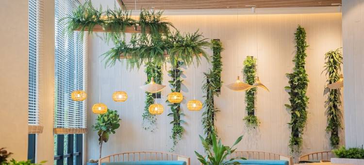 河内美利亚酒店(Melia Hanoi)图片