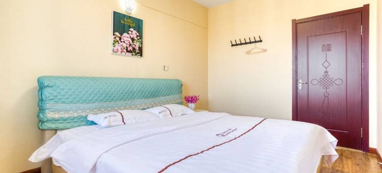 青林豪华民宿(文化路2号分店)图片