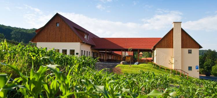 蒂申 - 比奥朗德勒尼斯胡法酒店(Jufa Hotel Tieschen)图片