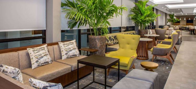 罗德岱堡机场及游轮港口温德姆花园酒店(Wyndham Garden Ft Lauderdale Airport & Cruise Port)图片