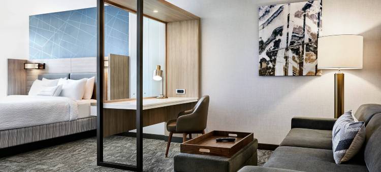 俄克拉荷马市中西部/德尔市SpringHill Suites酒店(SpringHill Suites Oklahoma City Midwest City/Del City)图片