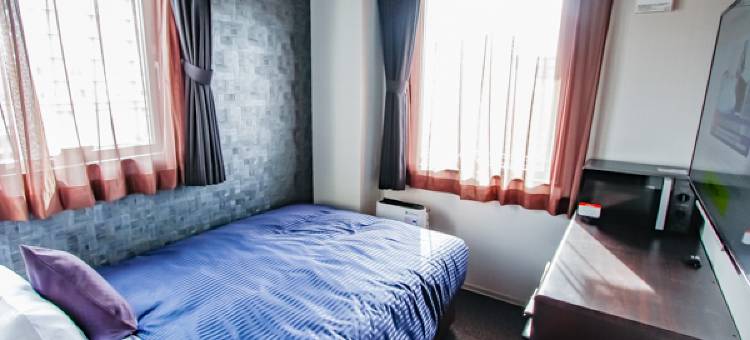 利夫马克斯高级天然温泉酒店-梅田东店(HOTEL LiVEMAX PREMIUM Umeda East)图片