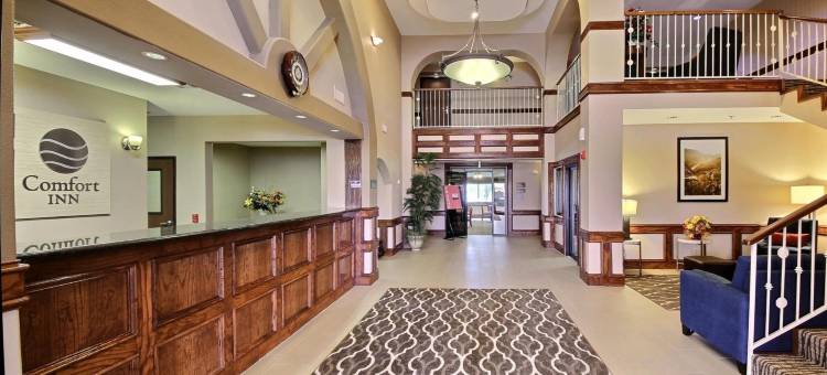 舒适酒店-爱丁堡南(Comfort Inn Edinburg South)图片