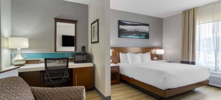 柯达塞维尔舒适套房酒店(Comfort Suites Kodak Sevierville)图片