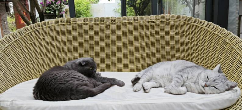 丽江自由生长艺术客栈图片