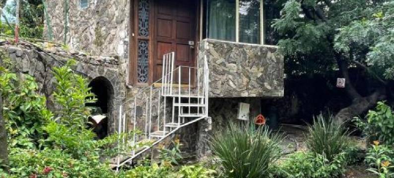 阿西西的Mangos之家(La Casa de Los Mangos Ajijic)图片