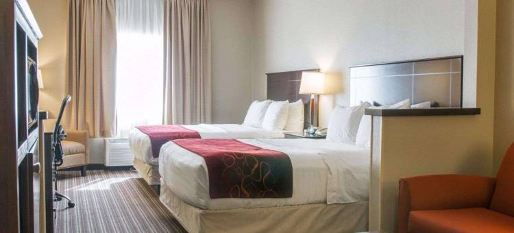 萨吉诺北舒适套房酒店(Comfort Suites- Saginaw)图片