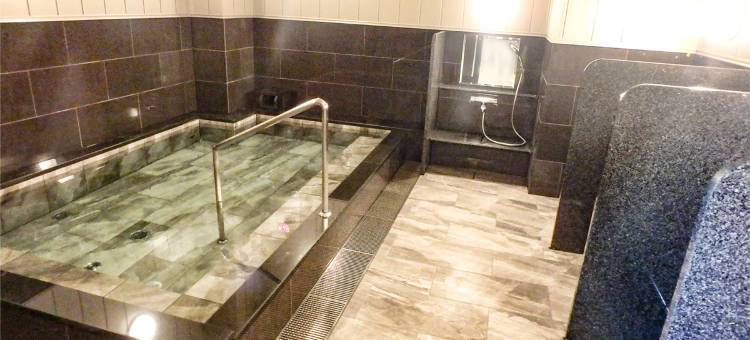 利夫马克斯高级天然温泉酒店-长野站前店(HOTEL LiVEMAX PREMIUM Nagano-Ekimae)图片