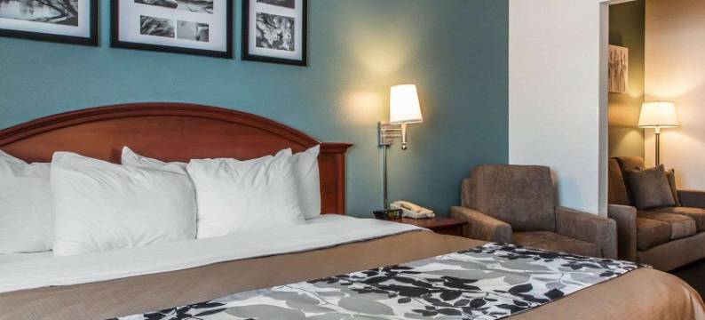 弗农山舒眠套房酒店(Sleep Inn & Suites Mount Vernon)图片