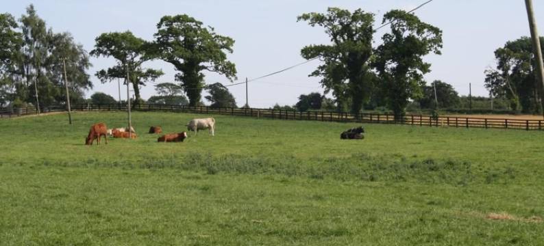 莫特 农家乐(Moate Lodge)图片