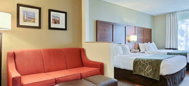 机场舒适套房酒店(Comfort Suites Airport)图片